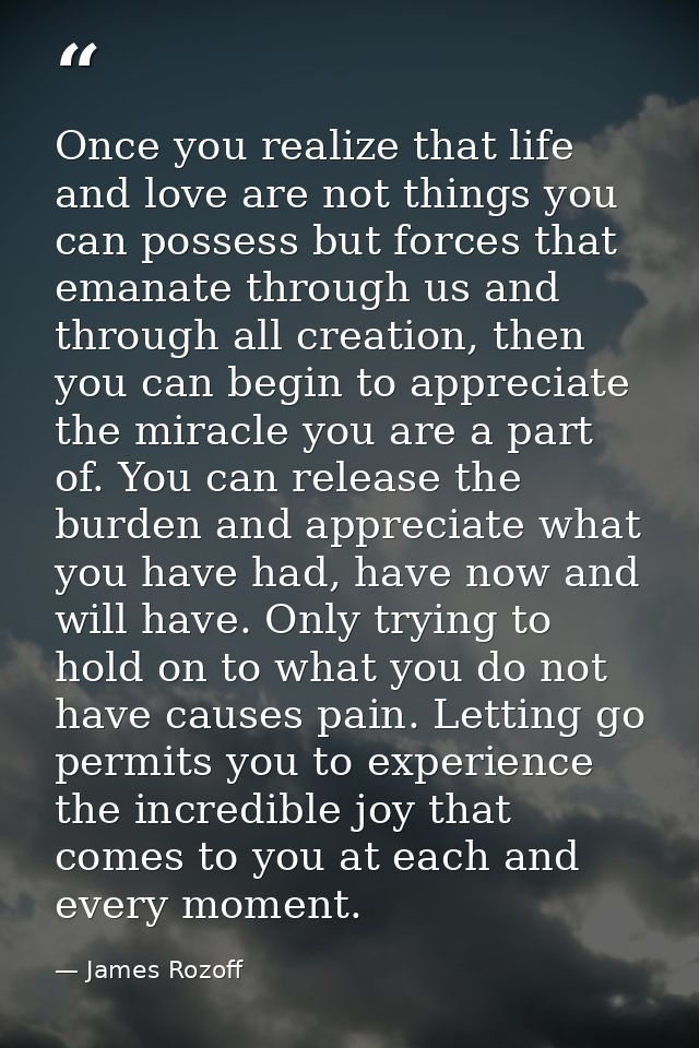 Once you realize that life and love are not things you can possess but forces that emanate through us and through all cr — James Rozoff