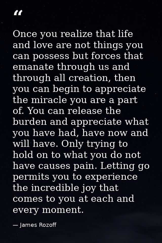 Once you realize that life and love are not things you can possess but forces that emanate through us and through all cr — James Rozoff