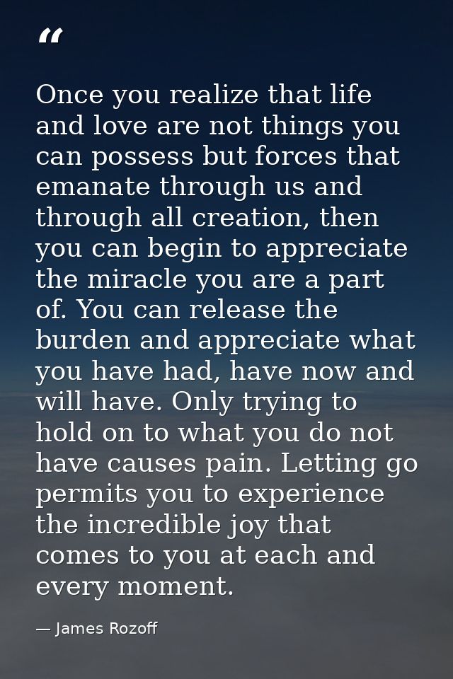 Once you realize that life and love are not things you can possess but forces that emanate through us and through all cr — James Rozoff