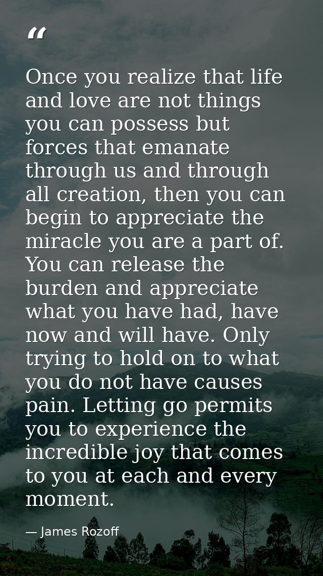 Once you realize that life and love are not things you can possess but forces that emanate through us and through all cr — James Rozoff