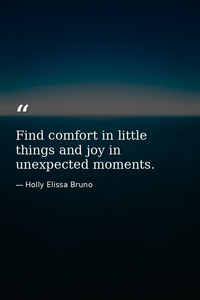 Find comfort in little things and joy in unexpected moments. — Holly Elissa Bruno