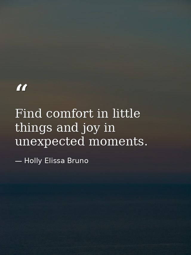 Find comfort in little things and joy in unexpected moments. — Holly Elissa Bruno