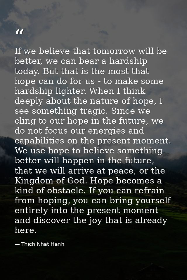 If we believe that tomorrow will be better, we can bear a hardship today. But that is the most that hope can do for us - — Thich Nhat Hanh