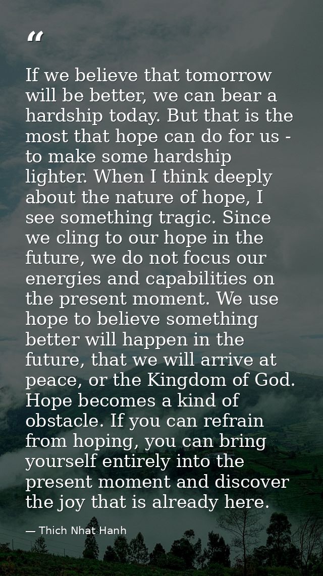 If we believe that tomorrow will be better, we can bear a hardship today. But that is the most that hope can do for us - — Thich Nhat Hanh