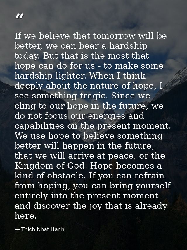 If we believe that tomorrow will be better, we can bear a hardship today. But that is the most that hope can do for us - — Thich Nhat Hanh
