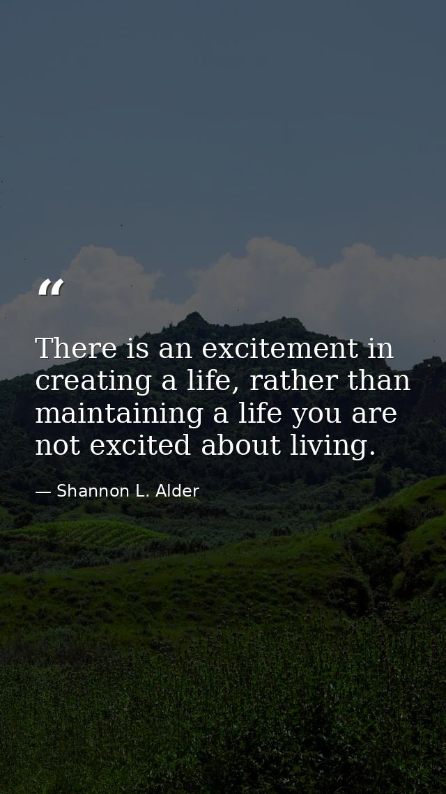 There is an excitement in creating a life, rather than maintaining a life you are not excited about living. — Shannon L. Alder