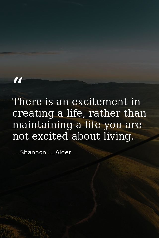 There is an excitement in creating a life, rather than maintaining a life you are not excited about living. — Shannon L. Alder