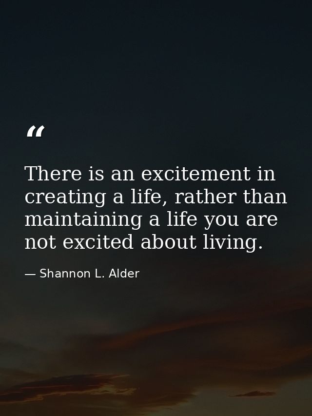 There is an excitement in creating a life, rather than maintaining a life you are not excited about living. — Shannon L. Alder