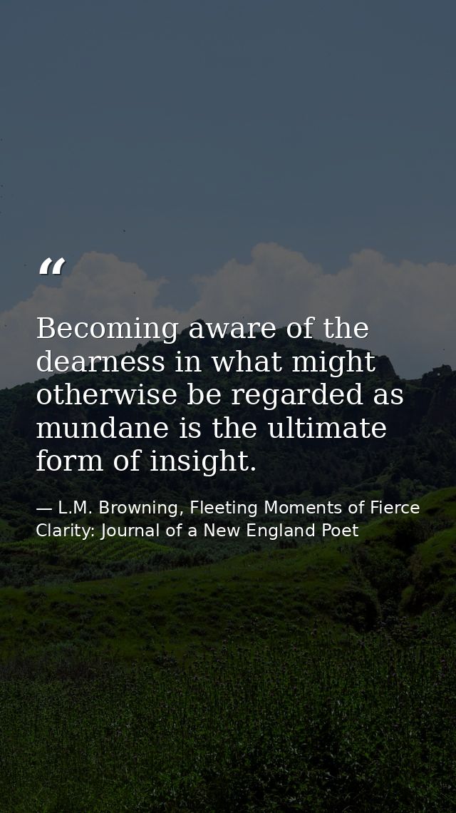 Becoming aware of the dearness in what might otherwise be regarded as mundane is the ultimate form of insight. — L.M. Browning, Fleeting Moments of Fierce Clarity: Journal of a New England Poet
