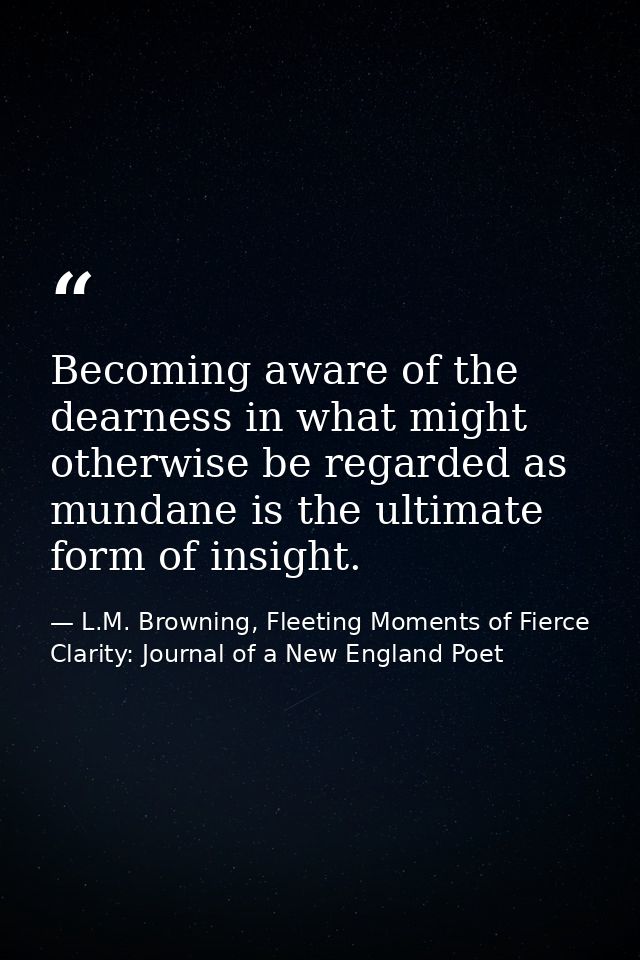Becoming aware of the dearness in what might otherwise be regarded as mundane is the ultimate form of insight. — L.M. Browning, Fleeting Moments of Fierce Clarity: Journal of a New England Poet
