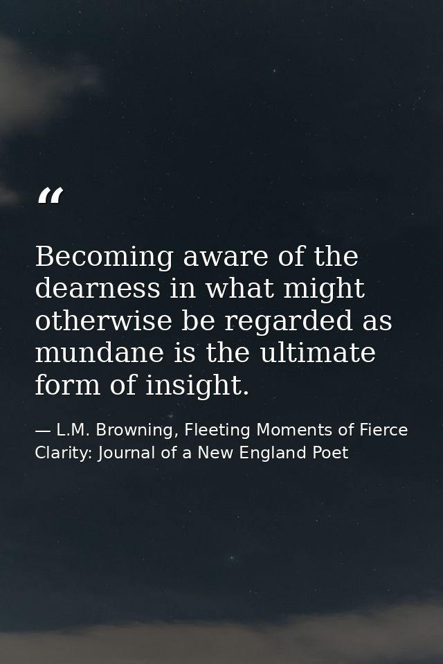 Becoming aware of the dearness in what might otherwise be regarded as mundane is the ultimate form of insight. — L.M. Browning, Fleeting Moments of Fierce Clarity: Journal of a New England Poet