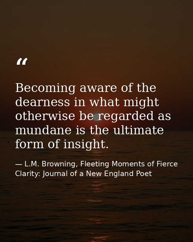 Becoming aware of the dearness in what might otherwise be regarded as mundane is the ultimate form of insight. — L.M. Browning, Fleeting Moments of Fierce Clarity: Journal of a New England Poet