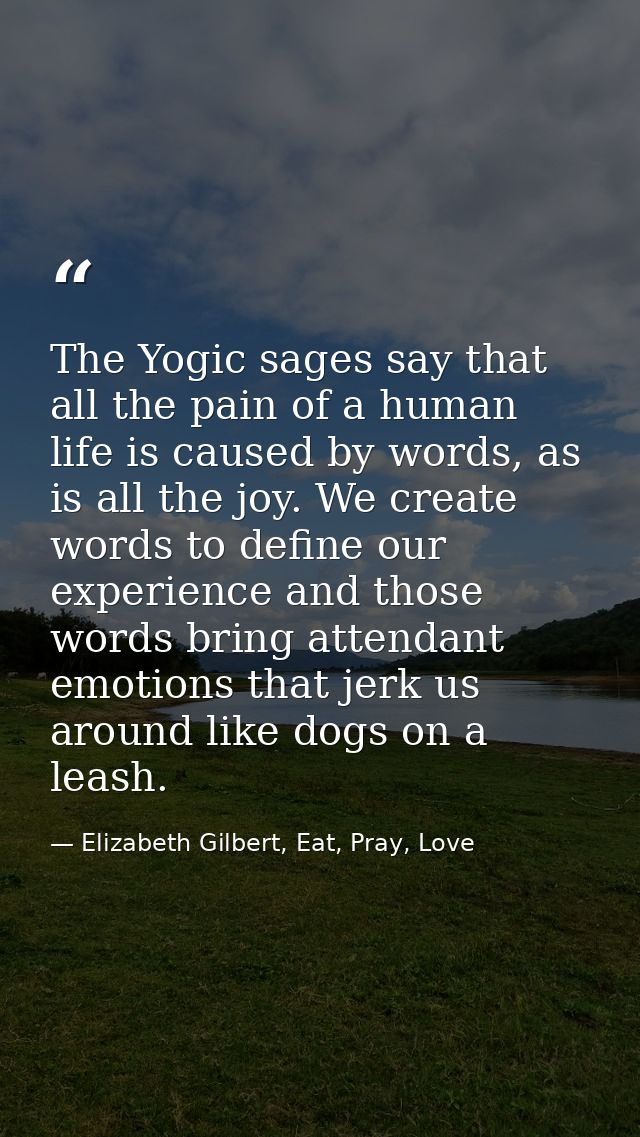 The Yogic sages say that all the pain of a human life is caused by words, as is all the joy. We create words to define o — Elizabeth Gilbert, Eat, Pray, Love