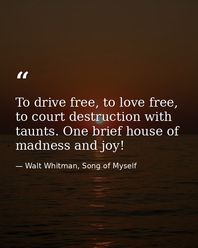 To drive free, to love free, to court destruction with taunts. One brief house of madness and joy! — Walt Whitman, Song of Myself