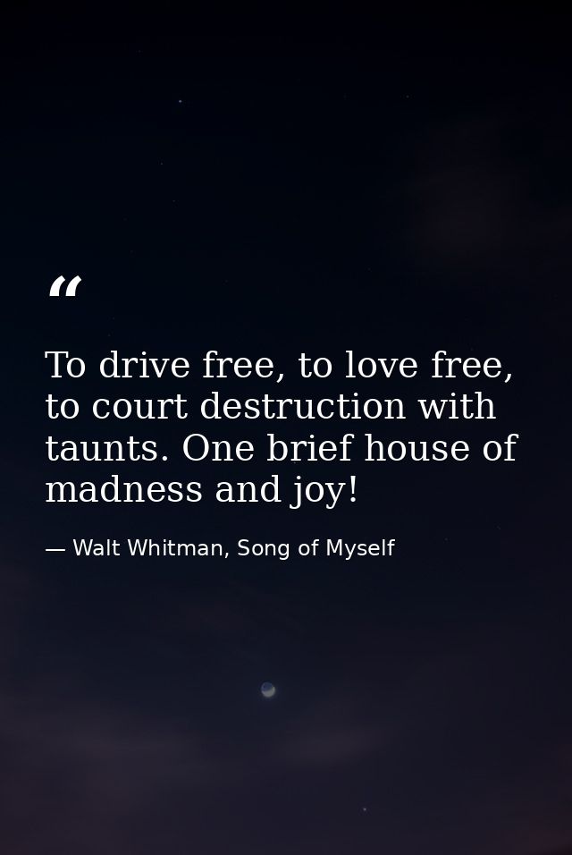 To drive free, to love free, to court destruction with taunts. One brief house of madness and joy! — Walt Whitman, Song of Myself