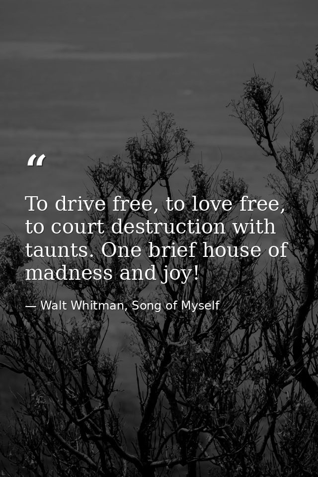 To drive free, to love free, to court destruction with taunts. One brief house of madness and joy! — Walt Whitman, Song of Myself