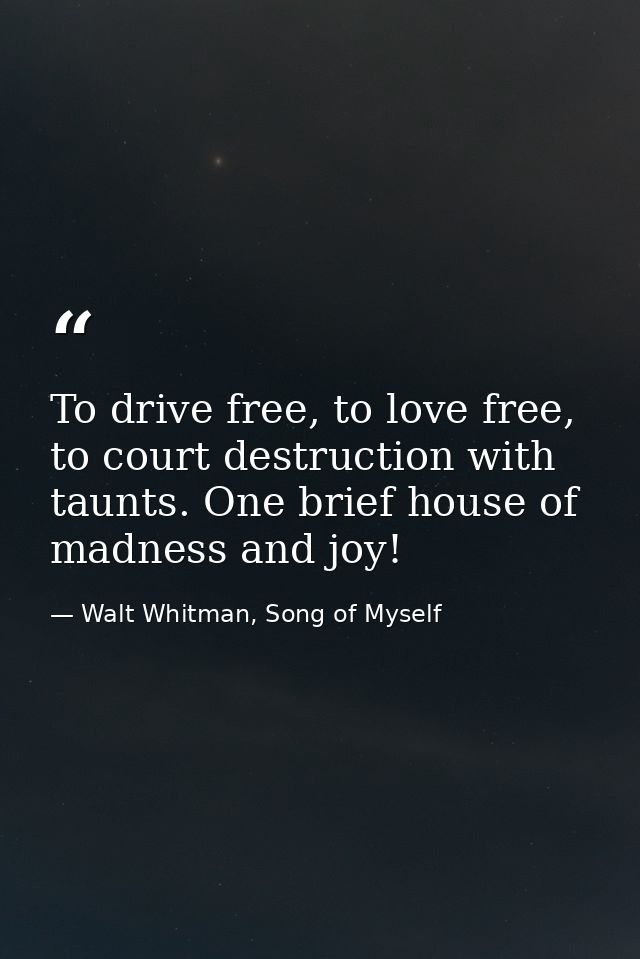 To drive free, to love free, to court destruction with taunts. One brief house of madness and joy! — Walt Whitman, Song of Myself