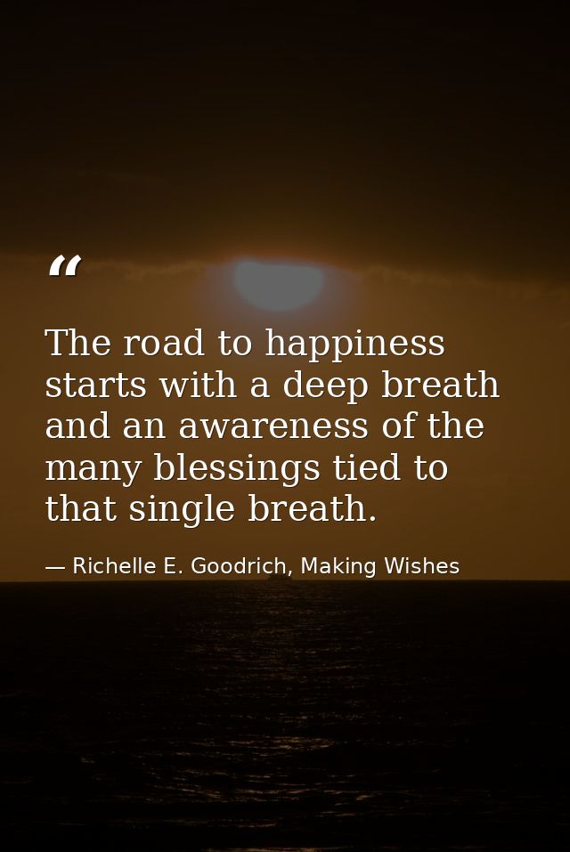 The road to happiness starts with a deep breath and an awareness of the many blessings tied to that single breath. — Richelle E. Goodrich, Making Wishes