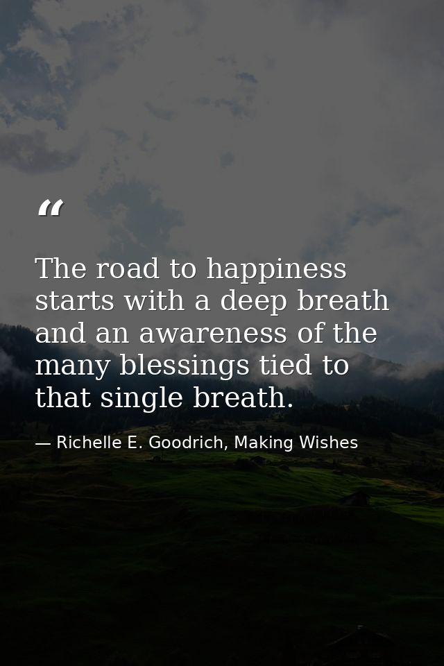 The road to happiness starts with a deep breath and an awareness of the many blessings tied to that single breath. — Richelle E. Goodrich, Making Wishes