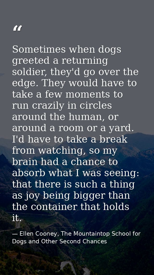 Sometimes when dogs greeted a returning soldier, they'd go over the edge. They would have to take a few moments to run c — Ellen Cooney, The Mountaintop School for Dogs and Other Second Chances