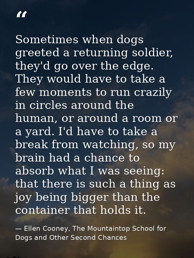 Sometimes when dogs greeted a returning soldier, they'd go over the edge. They would have to take a few moments to run c — Ellen Cooney, The Mountaintop School for Dogs and Other Second Chances