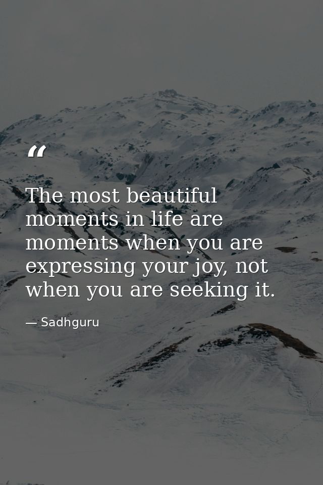 The most beautiful moments in life are moments when you are expressing your joy, not when you are seeking it. — Sadhguru