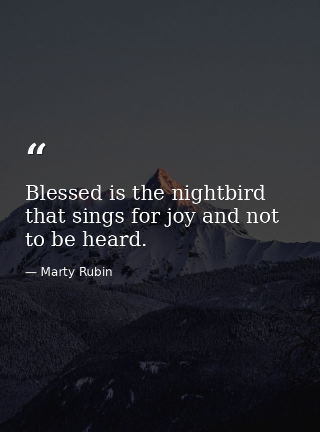 Blessed is the nightbird that sings for joy and not to be heard. — Marty Rubin