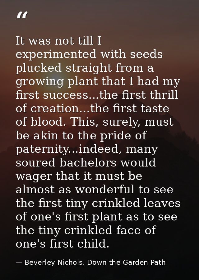 It was not till I experimented with seeds plucked straight from a growing plant that I had my first success...the first  — Beverley Nichols, Down the Garden Path