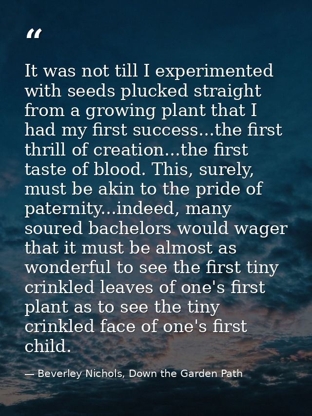 It was not till I experimented with seeds plucked straight from a growing plant that I had my first success...the first  — Beverley Nichols, Down the Garden Path