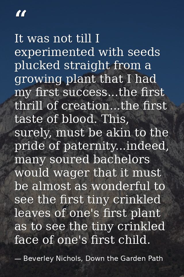 It was not till I experimented with seeds plucked straight from a growing plant that I had my first success...the first  — Beverley Nichols, Down the Garden Path