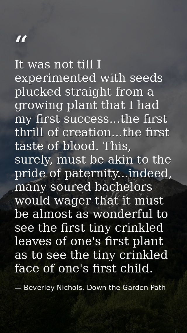It was not till I experimented with seeds plucked straight from a growing plant that I had my first success...the first  — Beverley Nichols, Down the Garden Path