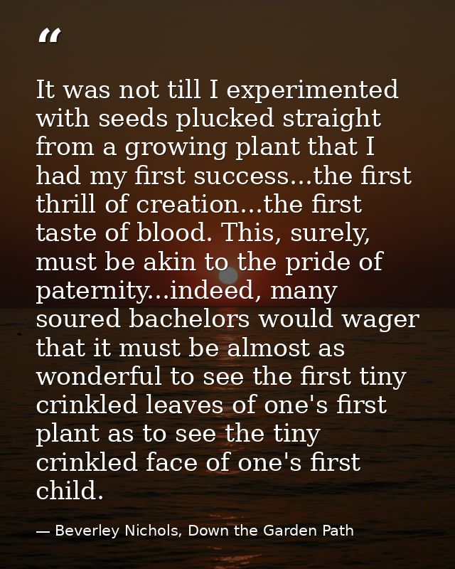 It was not till I experimented with seeds plucked straight from a growing plant that I had my first success...the first  — Beverley Nichols, Down the Garden Path
