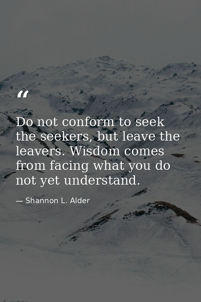 Do not conform to seek the seekers, but leave the leavers. Wisdom comes from facing what you do not yet understand. — Shannon L. Alder