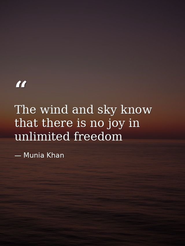 The wind and sky know that there is no joy in unlimited freedom — Munia Khan