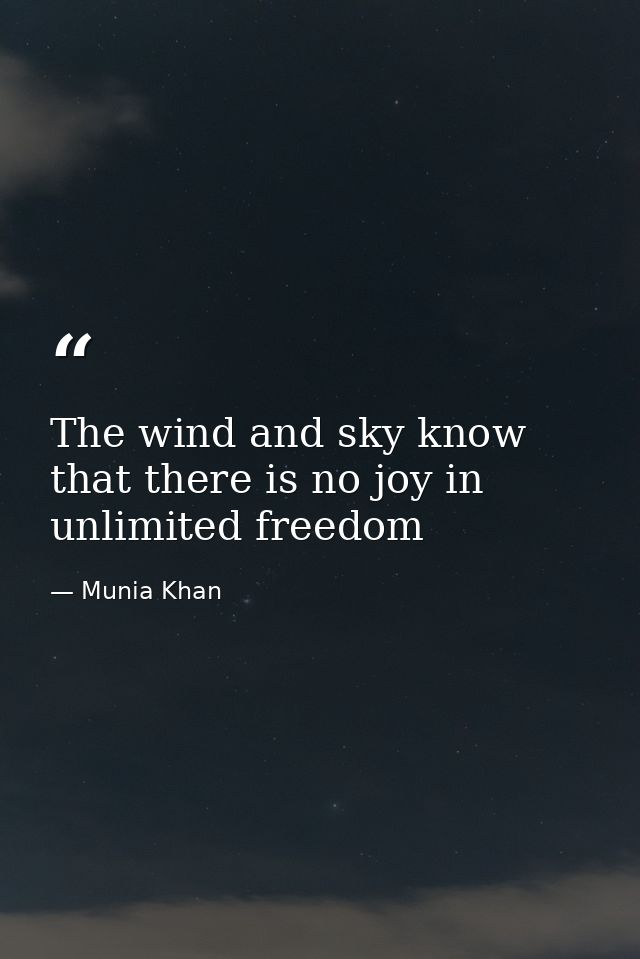 The wind and sky know that there is no joy in unlimited freedom — Munia Khan