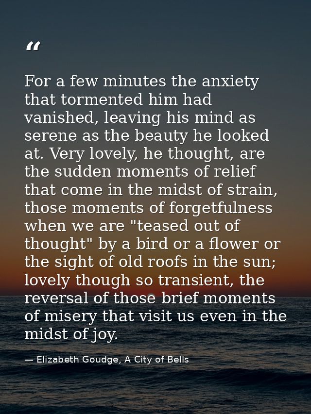 For a few minutes the anxiety that tormented him had vanished, leaving his mind as serene as the beauty he looked at. Ve — Elizabeth Goudge, A City of Bells