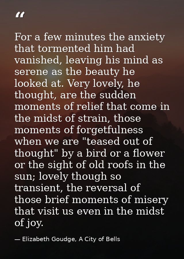 For a few minutes the anxiety that tormented him had vanished, leaving his mind as serene as the beauty he looked at. Ve — Elizabeth Goudge, A City of Bells