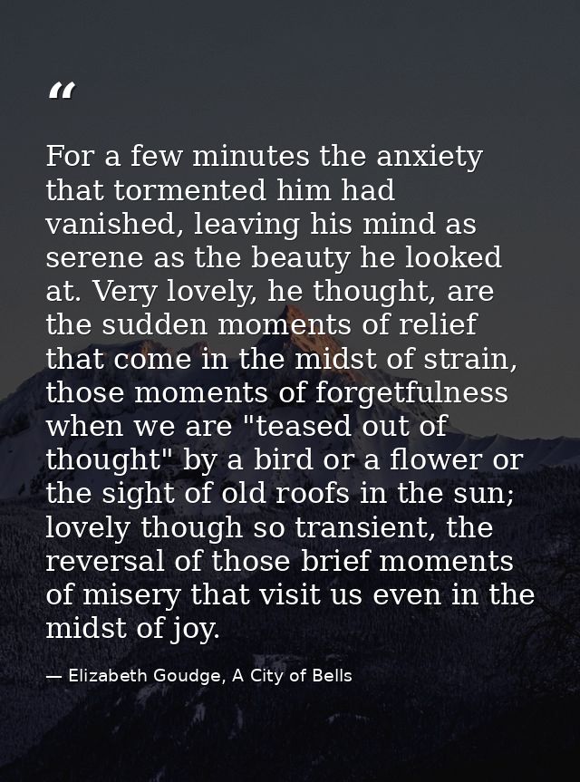 For a few minutes the anxiety that tormented him had vanished, leaving his mind as serene as the beauty he looked at. Ve — Elizabeth Goudge, A City of Bells