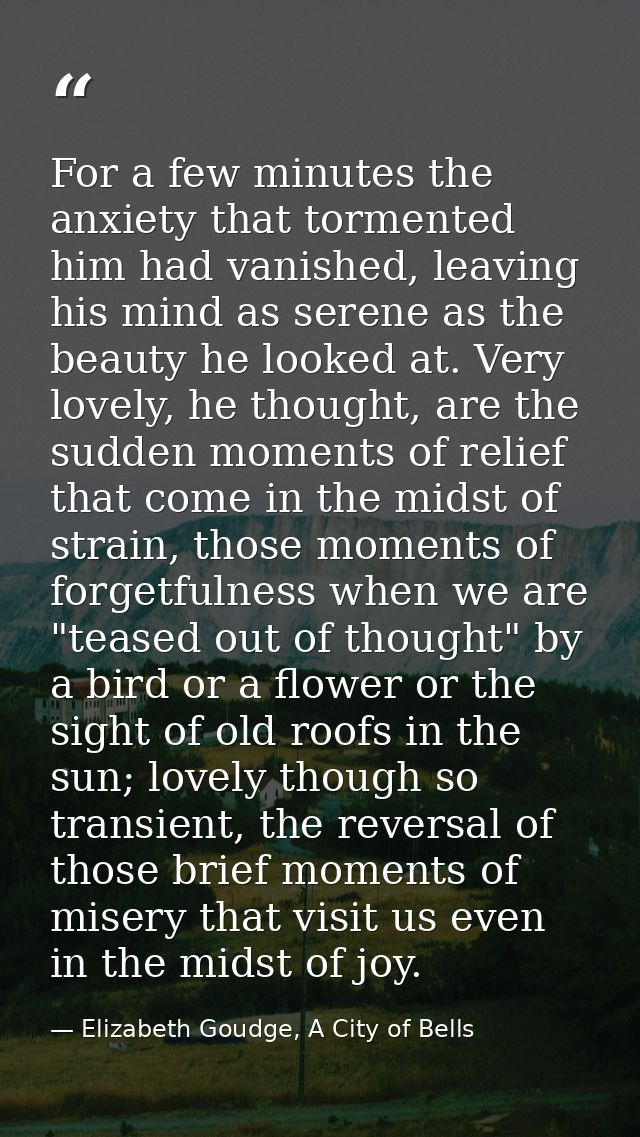 For a few minutes the anxiety that tormented him had vanished, leaving his mind as serene as the beauty he looked at. Ve — Elizabeth Goudge, A City of Bells