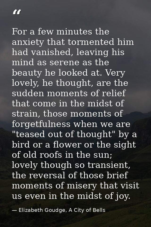 For a few minutes the anxiety that tormented him had vanished, leaving his mind as serene as the beauty he looked at. Ve — Elizabeth Goudge, A City of Bells