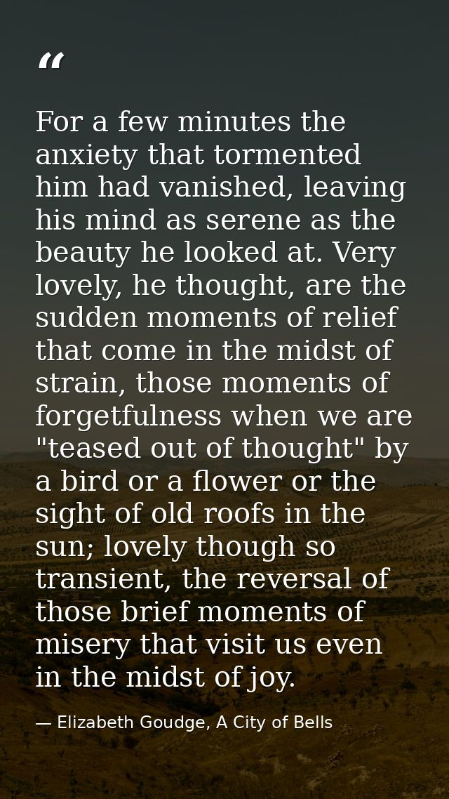 For a few minutes the anxiety that tormented him had vanished, leaving his mind as serene as the beauty he looked at. Ve — Elizabeth Goudge, A City of Bells