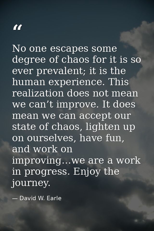 No one escapes some degree of chaos for it is so ever prevalent; it is the human experience. This realization does not m — David W. Earle
