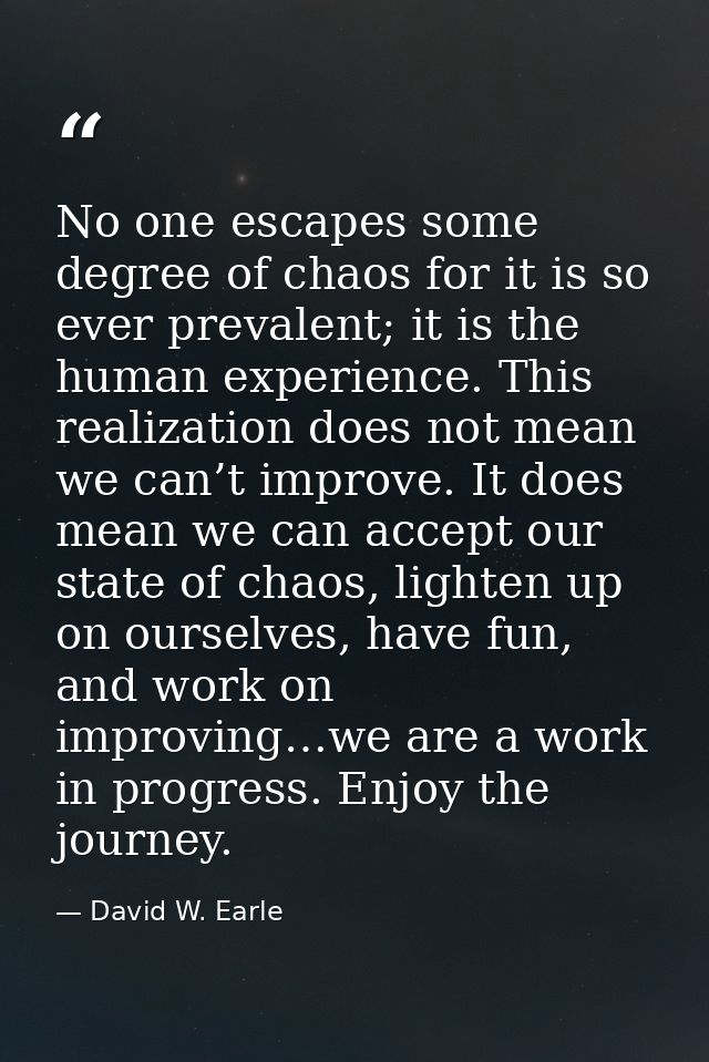 No one escapes some degree of chaos for it is so ever prevalent; it is the human experience. This realization does not m — David W. Earle
