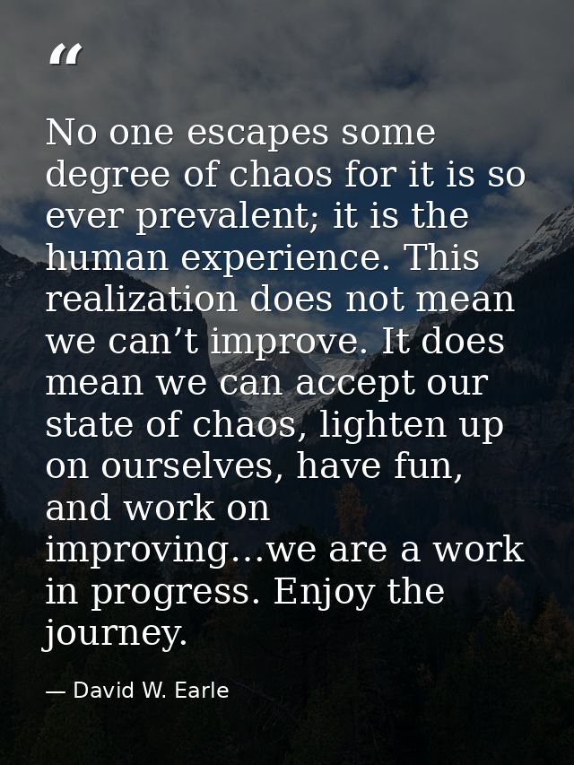 No one escapes some degree of chaos for it is so ever prevalent; it is the human experience. This realization does not m — David W. Earle