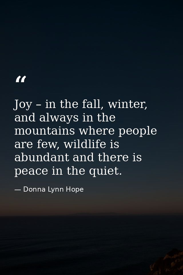 Joy – in the fall, winter, and always in the mountains where people are few, wildlife is abundant and there is peace in  — Donna Lynn Hope