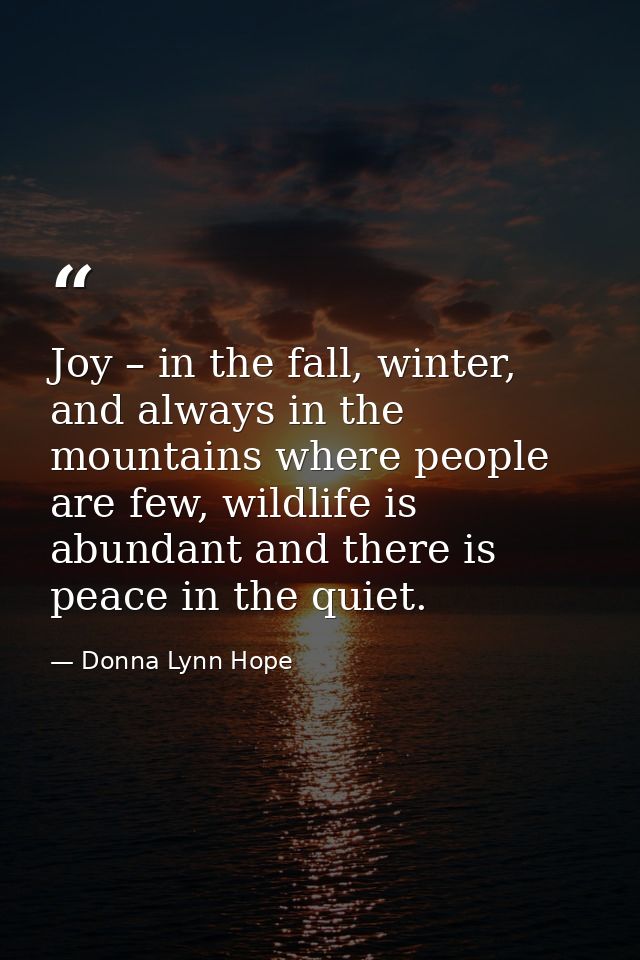 Joy – in the fall, winter, and always in the mountains where people are few, wildlife is abundant and there is peace in  — Donna Lynn Hope