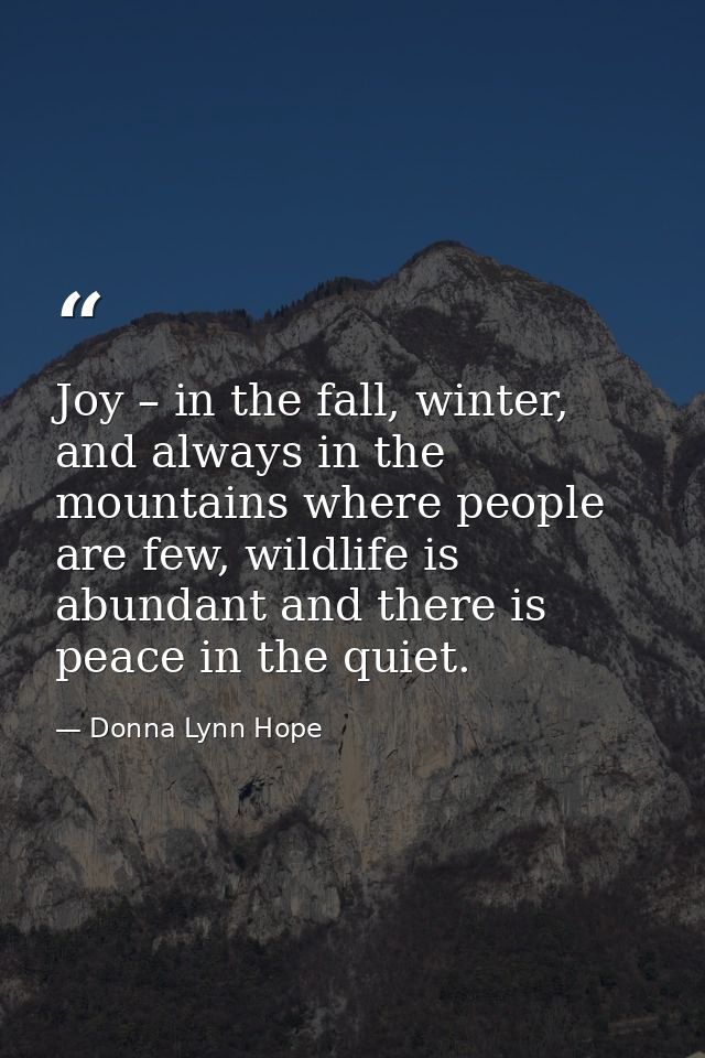 Joy – in the fall, winter, and always in the mountains where people are few, wildlife is abundant and there is peace in  — Donna Lynn Hope
