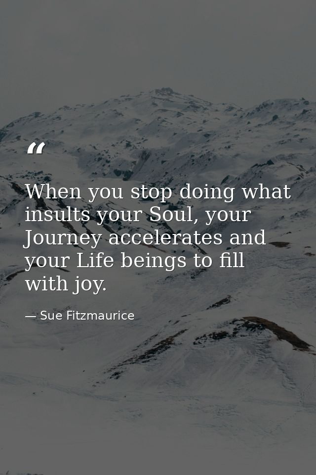 When you stop doing what insults your Soul, your Journey accelerates and your Life beings to fill with joy. — Sue Fitzmaurice