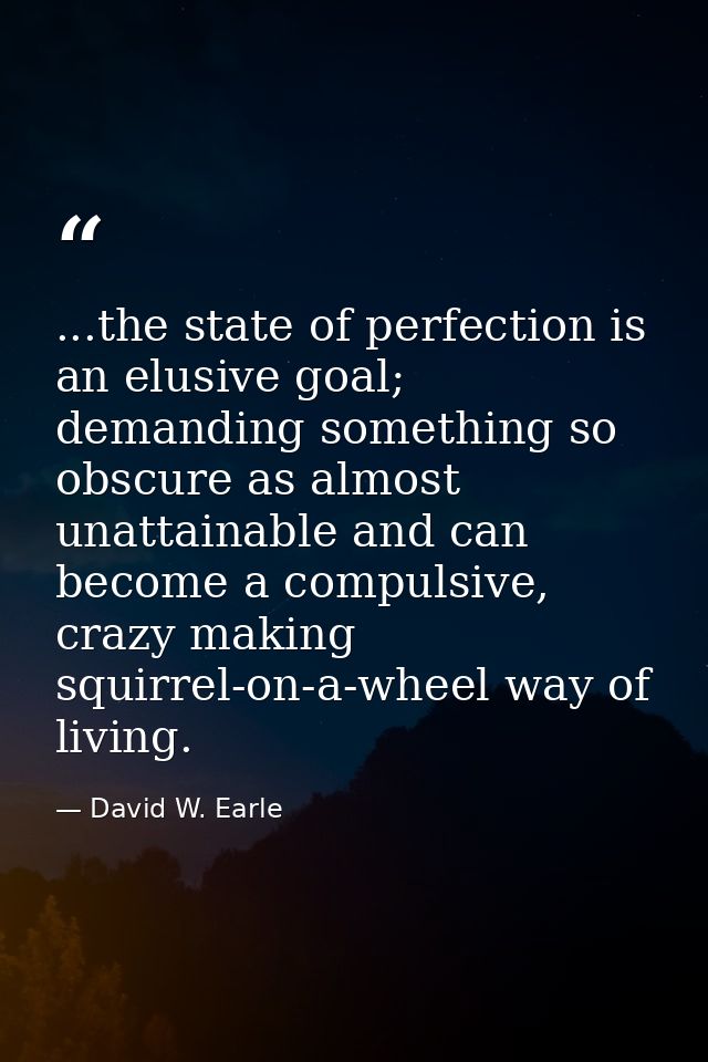 ...the state of perfection is an elusive goal; demanding something so obscure as almost unattainable and can become a co — David W. Earle