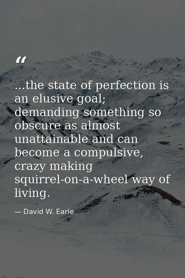 ...the state of perfection is an elusive goal; demanding something so obscure as almost unattainable and can become a co — David W. Earle